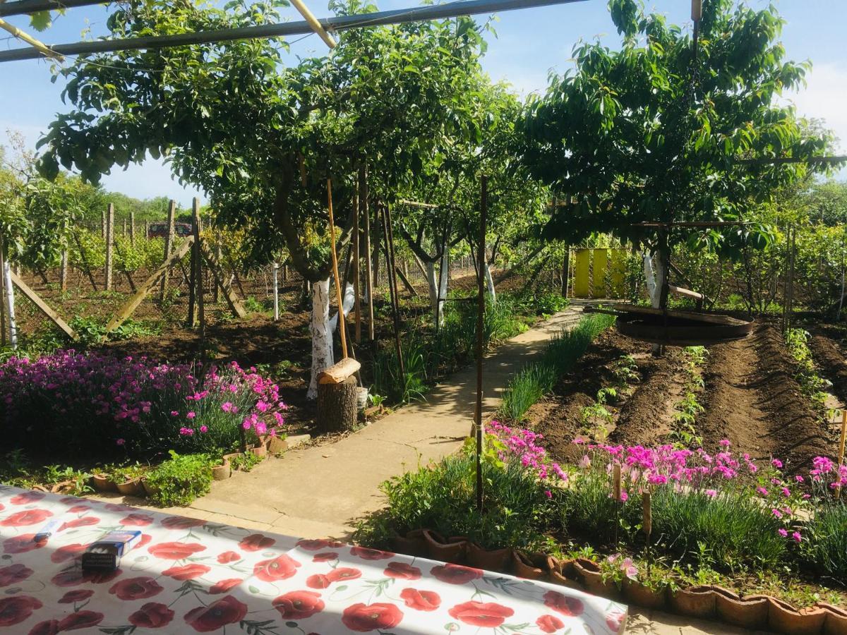 Бунгало- Bungalow Kavarna Dış mekan fotoğraf